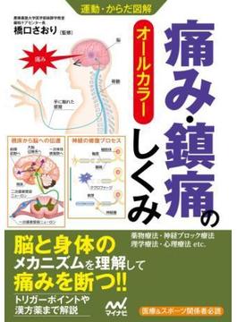 運動・からだ図解 痛み・鎮痛のしくみ