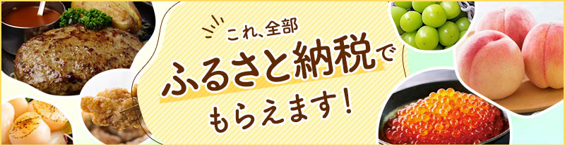 ふるさと納税サイト「ふるなび」