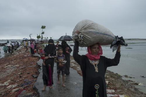 MSF Medical Action - Rohingya Crisis