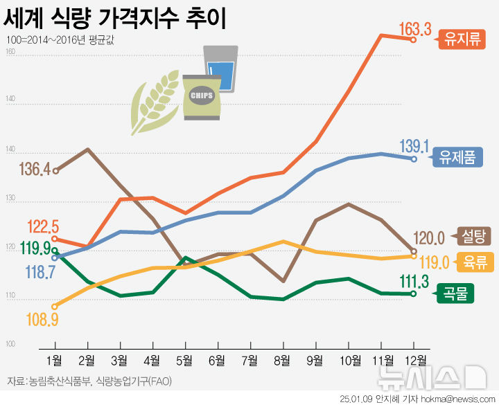 그래픽뉴스