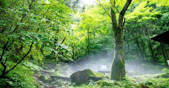 愛媛県東温市の「上林の風穴」、国登録記念物に　文化審答申