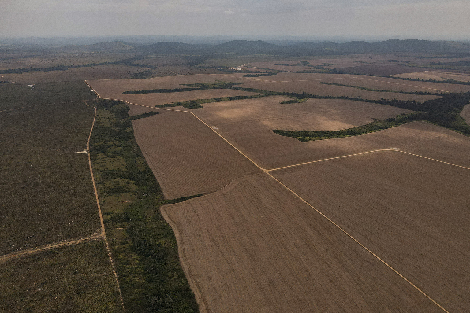 An area offered for sale by Gustavo in Novo Progresso, surrounded by soy fields.