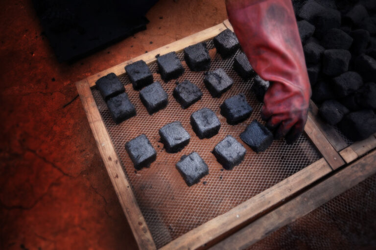 Biochar Africa