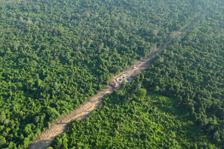 Fresh forest clearance inside Prey Lang Wildlife Sanctuary signals the beginning of an infrastructure project that will bisect the forest. Image by Gerald Flynn / Mongabay.