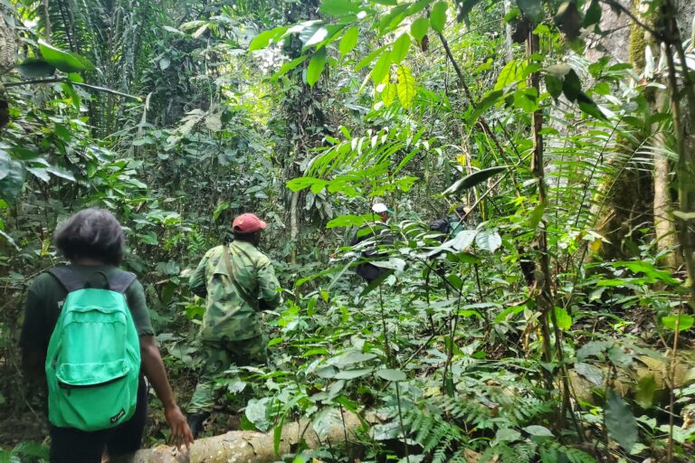 A team from Action for Sustainable Development Investigating the causes of deforestation alerts in Mengame Gorilla Sanctuary in southern Cameroon. Image courtesy of Genevieve Ndjiki.