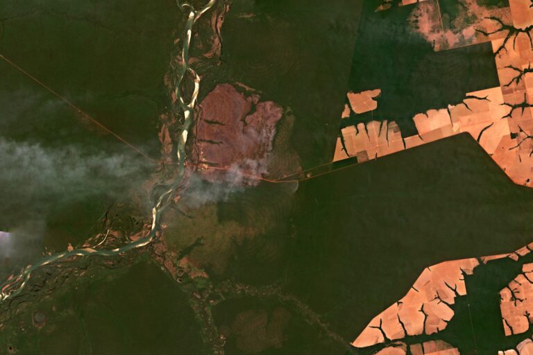 Satellite imagery captured September 2024 by Planet Labs shows a fire burning along the boundary between Xingu Indigenous Park and Capoto/Jarina Indigenous Territory. The territories are surrounded by denuded industrial farm fields.