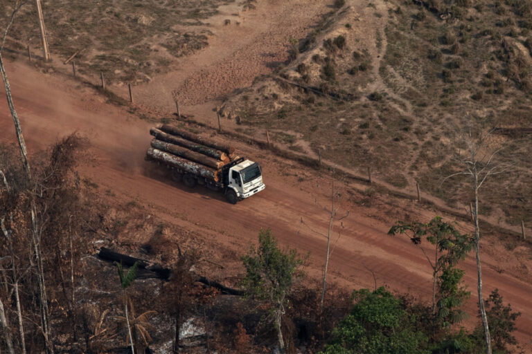 Timber illegally extracted from the Amazon by Ricardo Stoppe's group was sold to the USA and Europe.