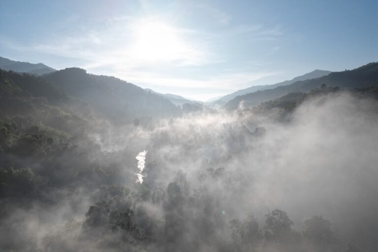 Landscape of the Thawthi Taw-Oo Indigenous Park. Image courtesy of the Thawthi Taw-Oo Indigenous Park Committee.