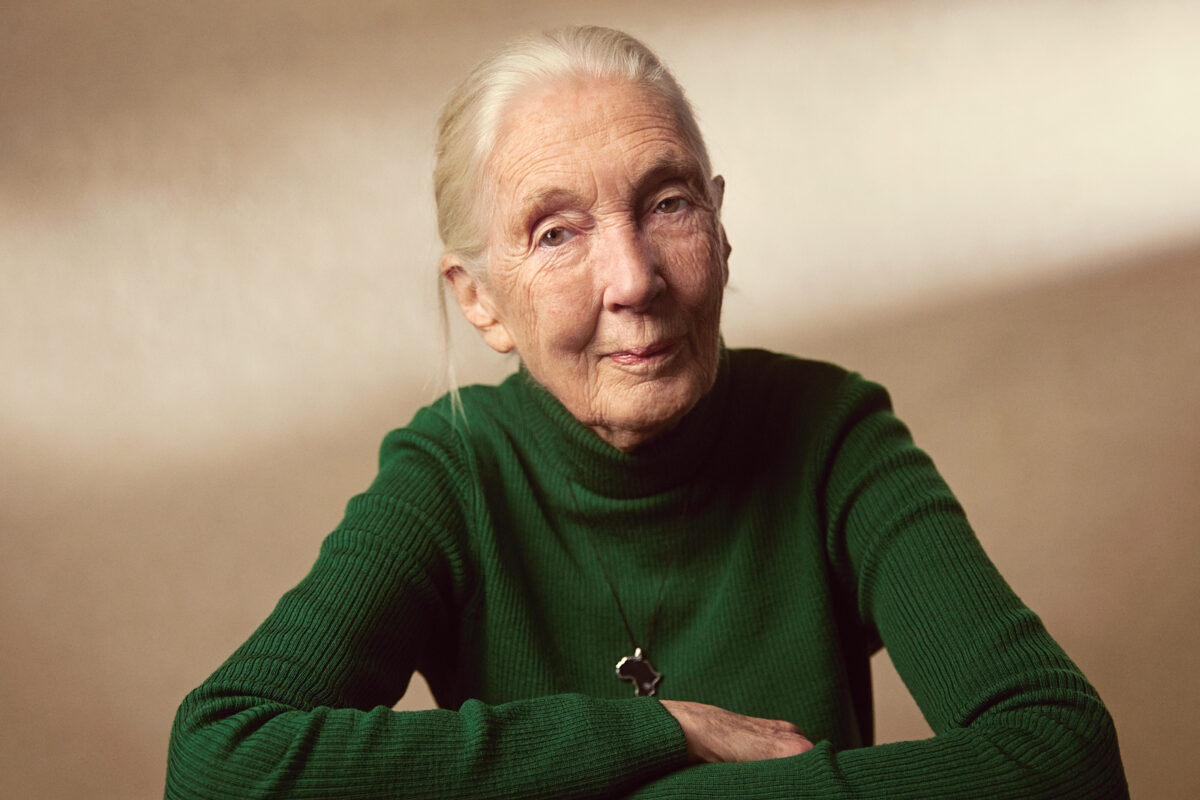 Jane Goodall. Photo courtesy of JGI