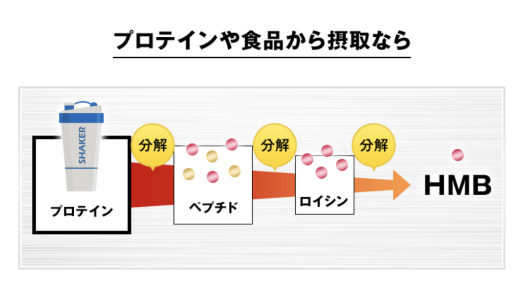 バルクハック HMB インプレ