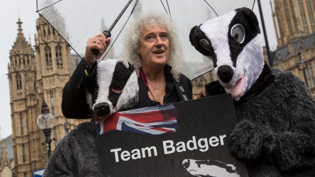 Queen star Brian May launches £177 fragrance that smells of ‘sandalwood and badger’