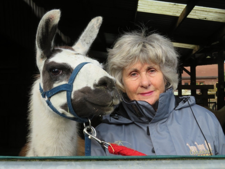 Mary Pyrse and Indigo the Llama (Photo: Supplied)