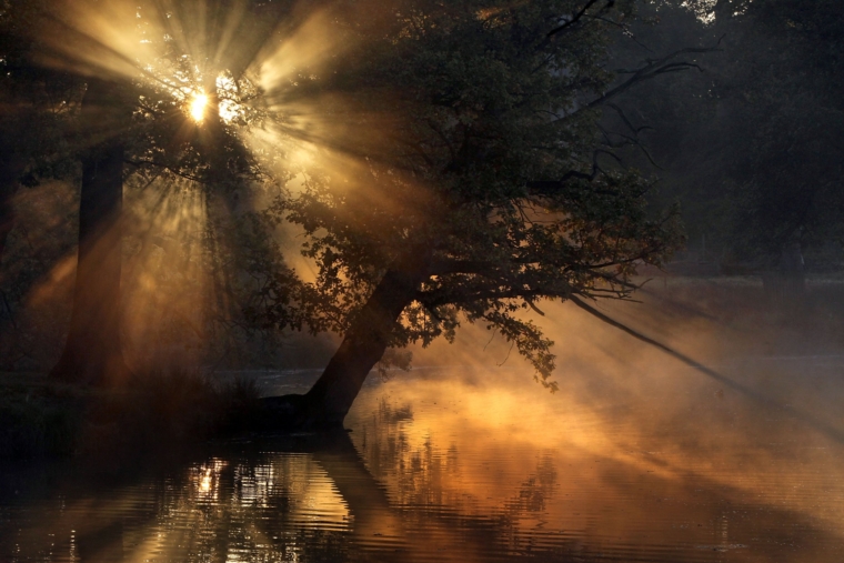 ALTRINCHAM, UNITED KINGDOM - OCTOBER 12: The early morning sun bursts through the trees as cooler temperatures bring on the autumn season at Dunham Massey on October 12, 2009, Altrincham, England. Shortening daylight hours and cooler weather brings on the rutting season for Red and Fallow deer herds and cooler tempertaures bring on the Autumn foliage colours in Britain. (Photo by Christopher Furlong/Getty Images)