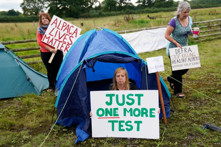 Geronimo has twice tested positive for bovine tuberculosis and, as a result, the Department for Environment, Food and Rural Affairs (Defra) has ordered its destruction 