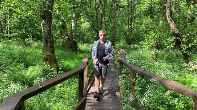 The creation of a National Forest for Wales inspired me to walk 300 miles and feel calm again