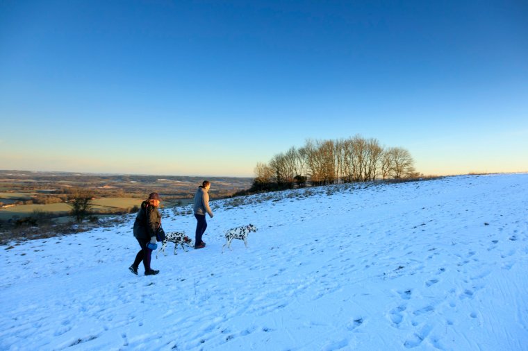 A snowy day on Harting Down (Photo: John Miller/National Trust)