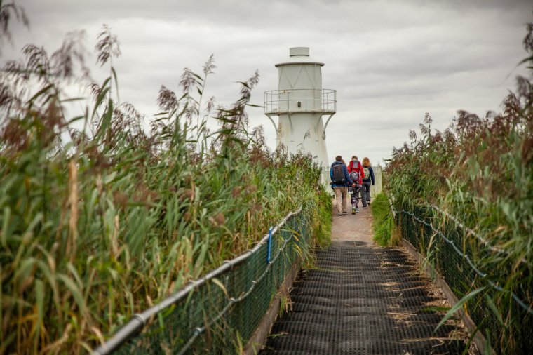 Newport Wetlands (Photo: Visit Wales)