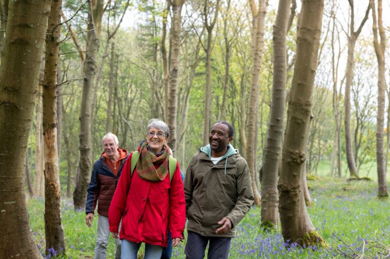 Senior friends on a hiking staycation in Dumfries and Galloway, Scotland. They are walking through a woodland rural area.