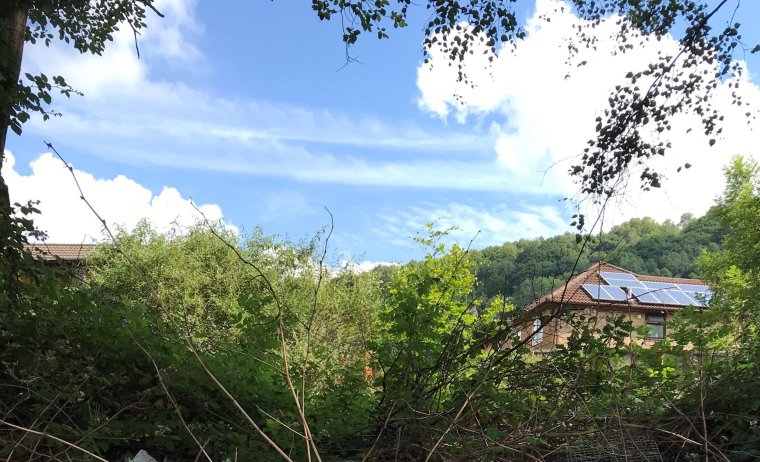 Richard Pember fears the repercussions of the Japanese Knotweed invasion could affect him for years, as well as having a negative impact on the value of his home (Photo: supplied)