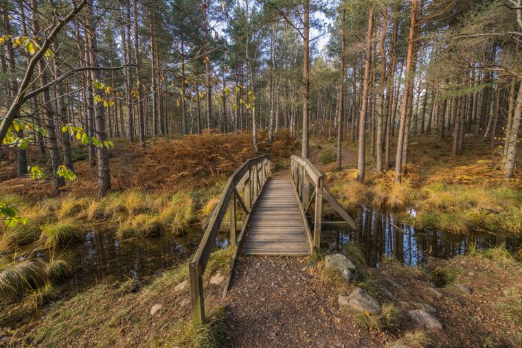 The Mar lodge estate, Braemar, Royal Deeside in the Cairngorms National Park. Image - VisitScotland