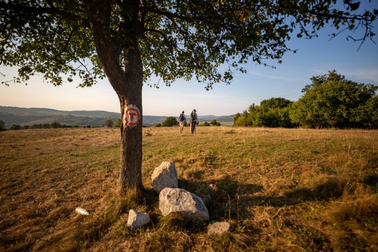 Via Transilvanica Romania Image via iulian gabor