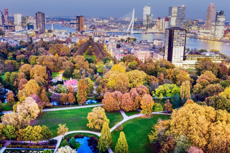 Aerial panorama of Rotterdam. Rotterdam, South Holland, Netherlands.