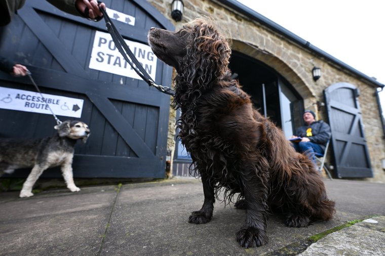 WEST BAY, ENGLAND - MAY 02: Dogs outside the polling station at The Salt House, on May 02, 2024 in West Bay, England. Polls have opened across 107 authorities in England where voters are set to determine the fate of nearly 2,700 council seats. (Photo by Finnbarr Webster/Getty Images)