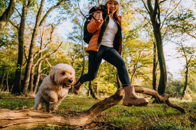 Low angle view of young woman jumping over wooden trunks with her Goldendoodle dog in the forest. Going on an adventure and exploring nature. Healthy and active lifestyle.