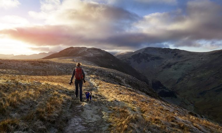 A hiker and their dog walking towards the mountain summit of High Spy from Maiden Moor at sunrise on the Derwent Fells in the Lake District, UK.