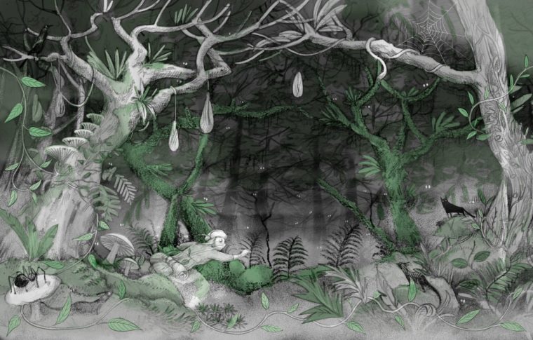 'The Forest of a Thousand Eyes by Frances Hardinge. Illustration by Emily Gravett