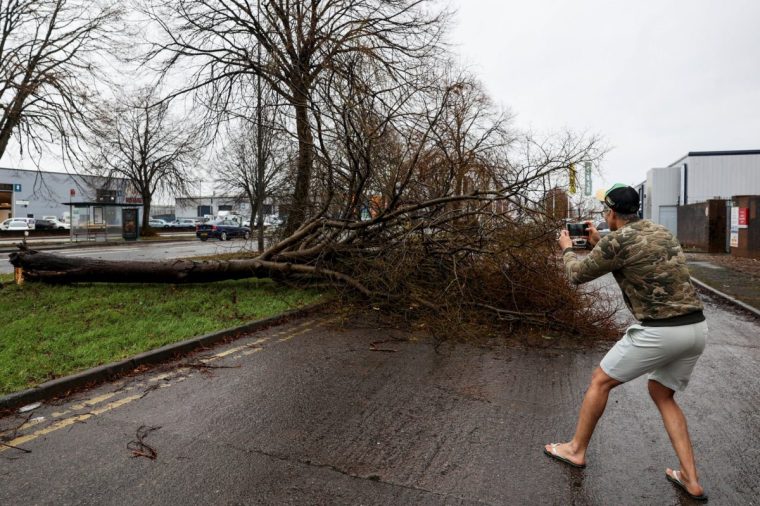 A man takes a picture of a fallen tree, as Storm Darragh brought strong winds, in Penarth, Wales, Britain, December 7, 2024. REUTERS/Temilade Adelaja