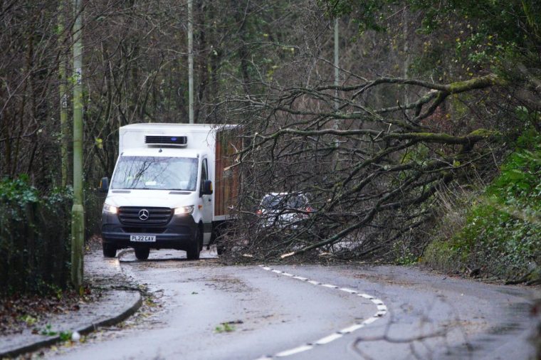 A fallen tree blocking a road on Llantwit road Pontypridd, Wales. Millions have been warned to stay indoors, thousands are without power and trains have been cancelled as the Government's "risk to life" alert brought on by Storm Darragh came into force. Picture date: Saturday December 7, 2024. PA Photo. Photo credit should read: Ben Birchall/PA Wire