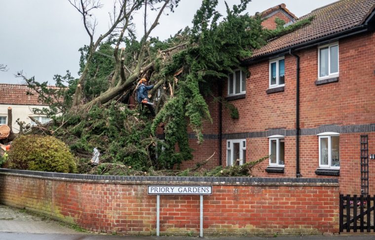 BURNHAM-ON-SEA, ENGLAND - DECEMBER 7: Contractors work to clear a tree that has fallen on properties following last night's storm winds on December 7, 2024 in Burnham-on-Sea, England. Burnham-on-Sea was hit by winds gusting up to 75mph last night, with a rare red weather warning for wind issued by the UK's Met Office with a amber warning remaining in place. London Royal Parks and the festive attraction Winter Wonderland are closed today as Storm Darragh brings gusting winds up to 80mph and heavy rain through the weekend. (Photo by Anna Barclay/Getty Images)