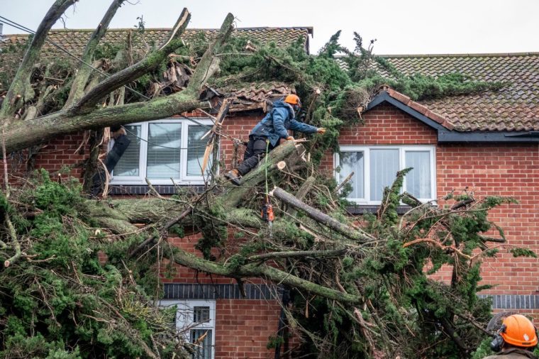 BURNHAM-ON-SEA, ENGLAND - DECEMBER 7: Contractors work to clear a tree that has fallen on properties following last night's storm winds on December 7, 2024 in Burnham-on-Sea, England. Burnham-on-Sea was hit by winds gusting up to 75mph last night, with a rare red weather warning for wind issued by the UK's Met Office with a amber warning remaining in place. London Royal Parks and the festive attraction Winter Wonderland are closed today as Storm Darragh brings gusting winds up to 80mph and heavy rain through the weekend. (Photo by Anna Barclay/Getty Images)