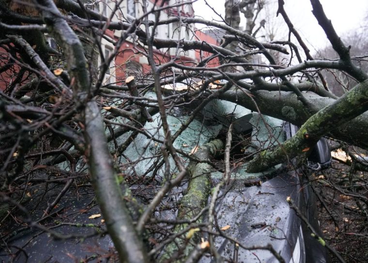 LIVERPOOL, UNITED KINGDOM - DECEMBER 7: A fallen tree damaged a car in Liverpool as Storm Darragh batters parts of the UK, in Liverpool, United Kingdom on December 7, 2024. A powerful storm made landfall in the UK on Saturday following a rare red warning, leaving thousands without power and disrupting travel and sports events. Around 3 million people in Wales and southwestern England were warned by the government to stay indoors as Storm Darragh has already hit parts of the country. (Photo by Stringer/Anadolu via Getty Images)