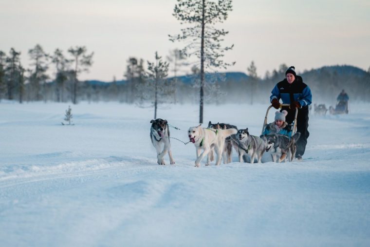 Husky safaris are one of the many activities on offer (Photo: Not In The Guidebooks)