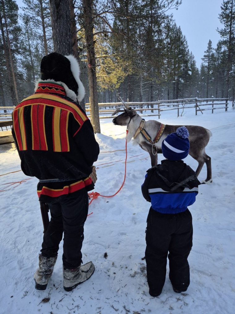 Meeting reindeer on a Sami farm (Photo: Sophie Lam)