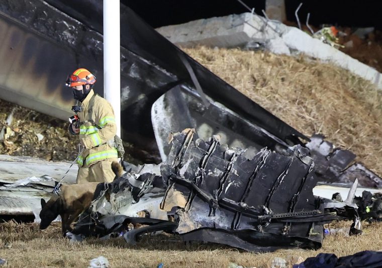 A firefighter and a dog work near the scene where a Jeju Air Boeing 737-800 series aircraft crashed and burst into flames at Muan International Airport in South Jeolla Province, some 288 kilometres southwest of Seoul on December 29, 2024. A Jeju Air plane carrying 181 people from Thailand to South Korea crashed on arrival, smashing into a barrier and bursting into flames, leaving all but two feared dead. (Photo by YONHAP / AFP) / - South Korea OUT / NO ARCHIVES - RESTRICTED TO SUBSCRIPTION USE (Photo by -/YONHAP/AFP via Getty Images)