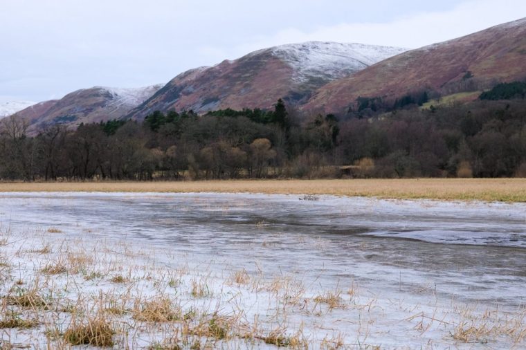 DOLLAR, SCOTLAND - JANUARY 05: Frozen water on agricultural farmland on January 05, 2025 in Dollar, Scotland. Temperatures reach -10 C this weekend in some parts of the UK with Amber weather warnings issued by the Met office in place for ice and snow. (Photo by Ben Montgomery/Getty Images)