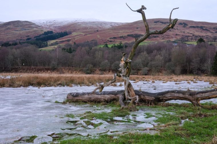 DOLLAR, SCOTLAND - JANUARY 05: A fallen tree and plates of ice on agricultural farmland on January 05, 2025 in Dollar, Scotland. Temperatures reach -10 C this weekend in some parts of the UK with Amber weather warnings issued by the Met office in place for ice and snow. (Photo by Ben Montgomery/Getty Images)