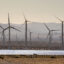 An array of electricity producing wind turbines are viewed along Interstate 10 on May 11, 2022 near Palm Springs, California. Credit: George Rose/Getty Images