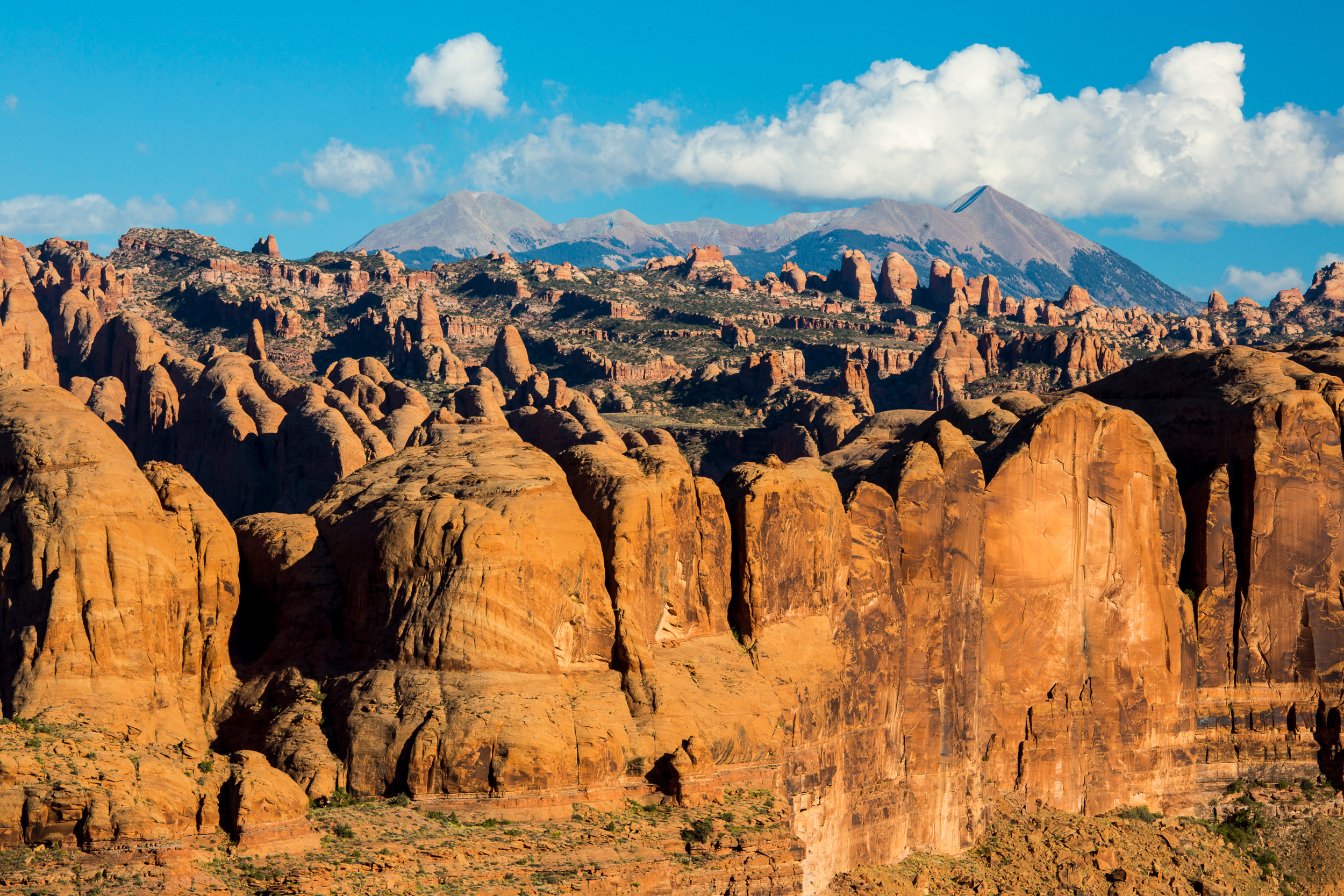 Behind the Rocks Wilderness Study Area near Moab, Utah. Credit: Bob Wick/BLM