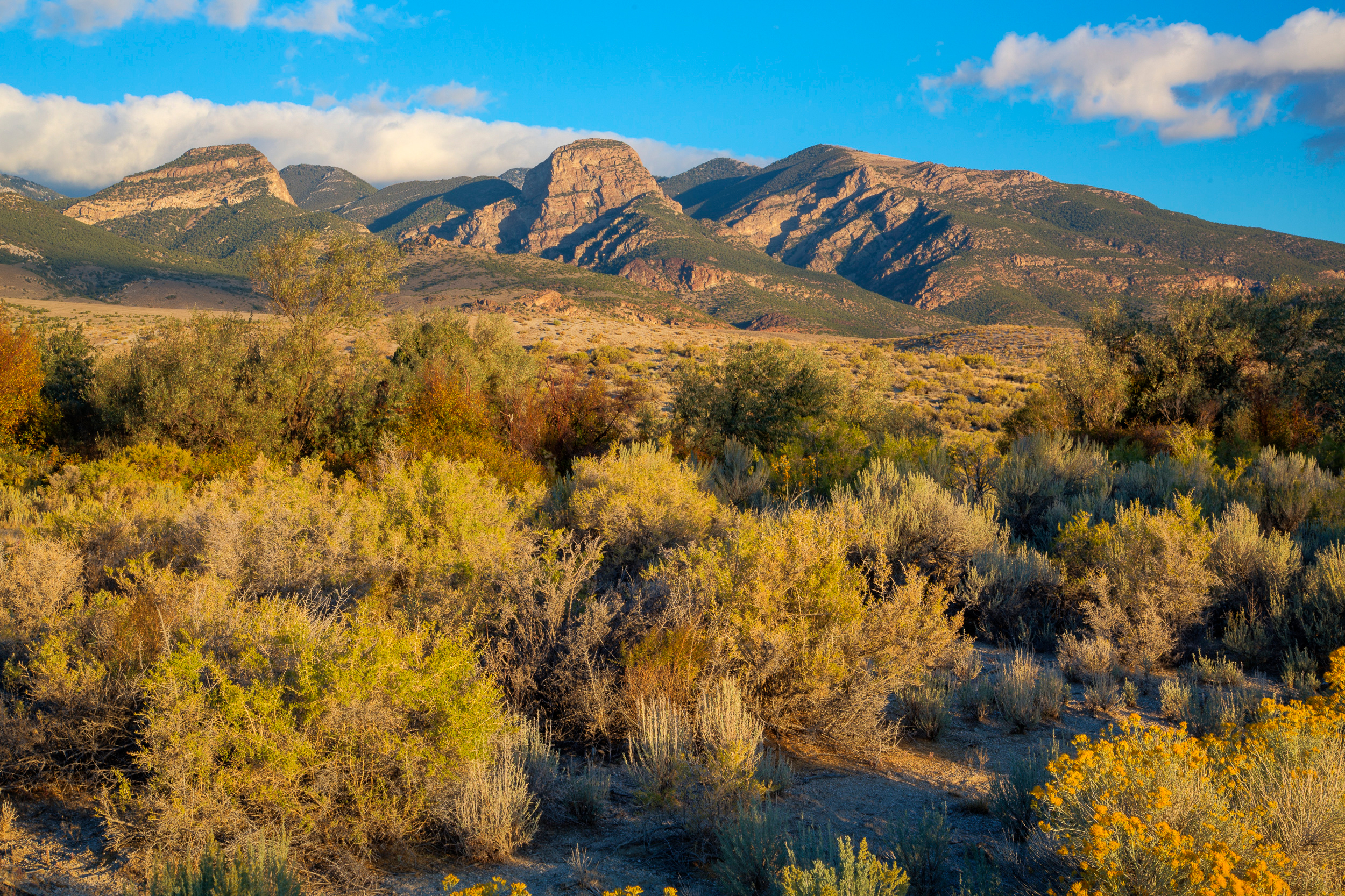 The Deep Creek Mountains are 32 miles long and run adjacent to the Utah-Nevada state line. Credit: Bob Wick/BLM