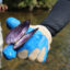 A close-up photo of the mussel, shell open, is shown in the gloved hand of the biologist with water in the background