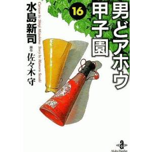 中古文庫コミック 男どアホウ甲子園(文庫版)(16) / 水島新司｜suruga-ya