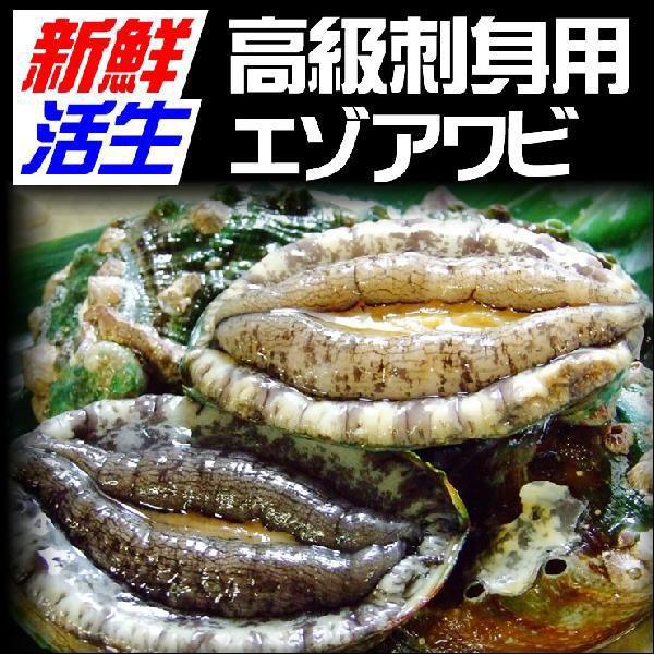 （バーベキュー アワビ 鮑）送料無料〔“活生”エゾアワビ〕5枚セット(50g×5枚)〔冷蔵〕(出荷の...