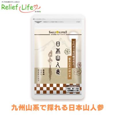 日本山人参31粒 ヒュウガトウキ ひゅうがとうき メール便送料無料 イヌトウキ 生活習慣 神の草 コエンザイムQ10 ヒドロキシプロリン アミノ酸