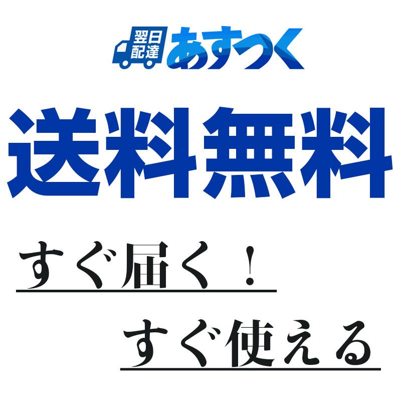 USBメモリ64GB Kioxia USB3.2 Gen1 日本製 LU301K064GC4 海外パッケージ 翌日配達 送料無料 | KIOXIA | 10