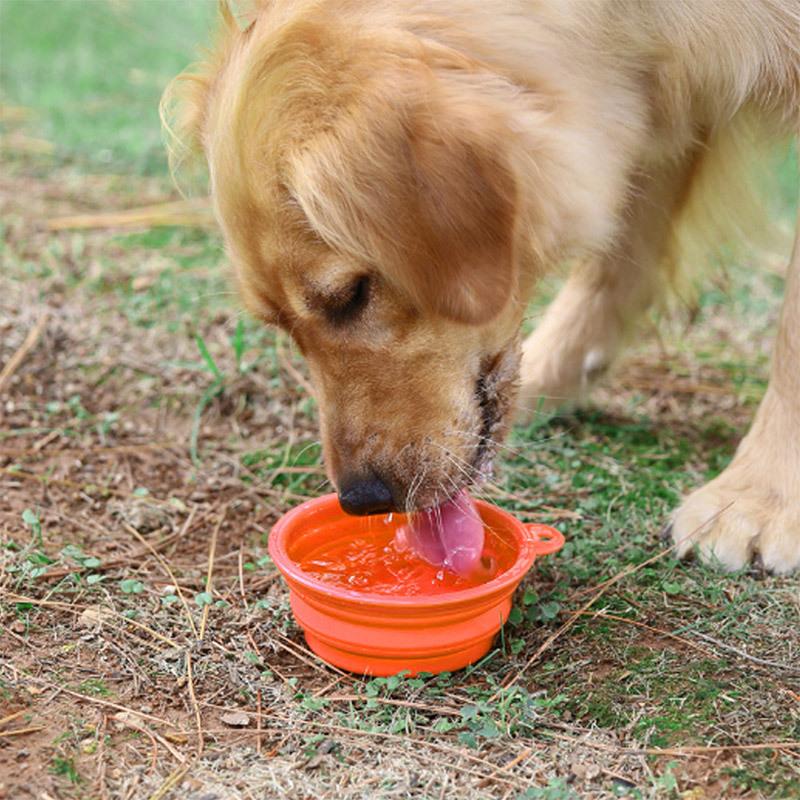 ペットボウル 折り畳み式 ペット食器 犬 猫 ペット用品 カラビナ付き フードボウル シリコンボウル 翌日配達対応 ネコポス送料無料 | ブランド登録なし | 12