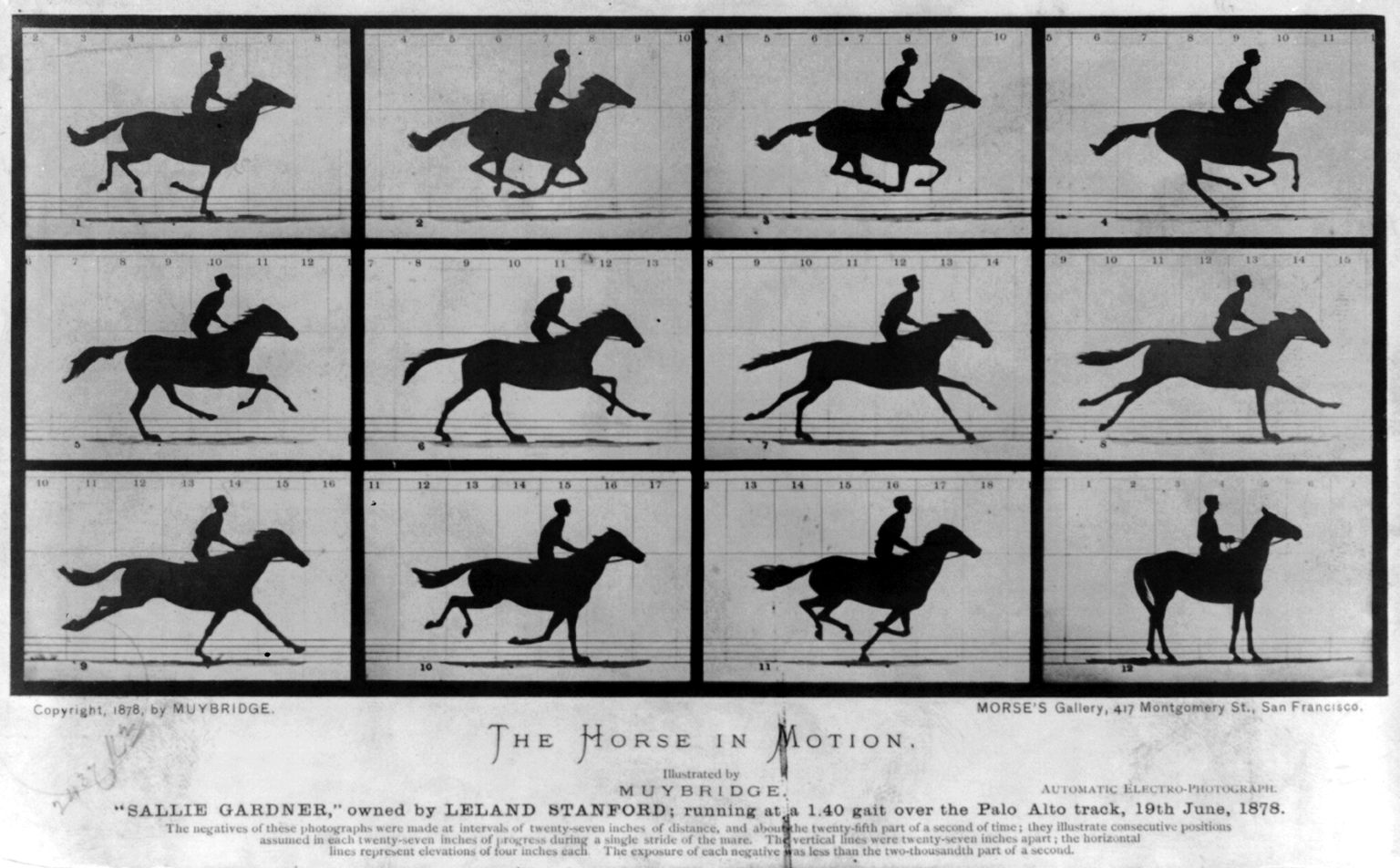 Muybridge Bullet Time Galloping Horse